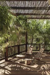 Outdoor, Trees, Wood Patio, Porch, Deck, and Wood Fences, Wall  Photo 3 of 15 in A Serene Tulum Tree House Perched Between the Jungle and the Sea