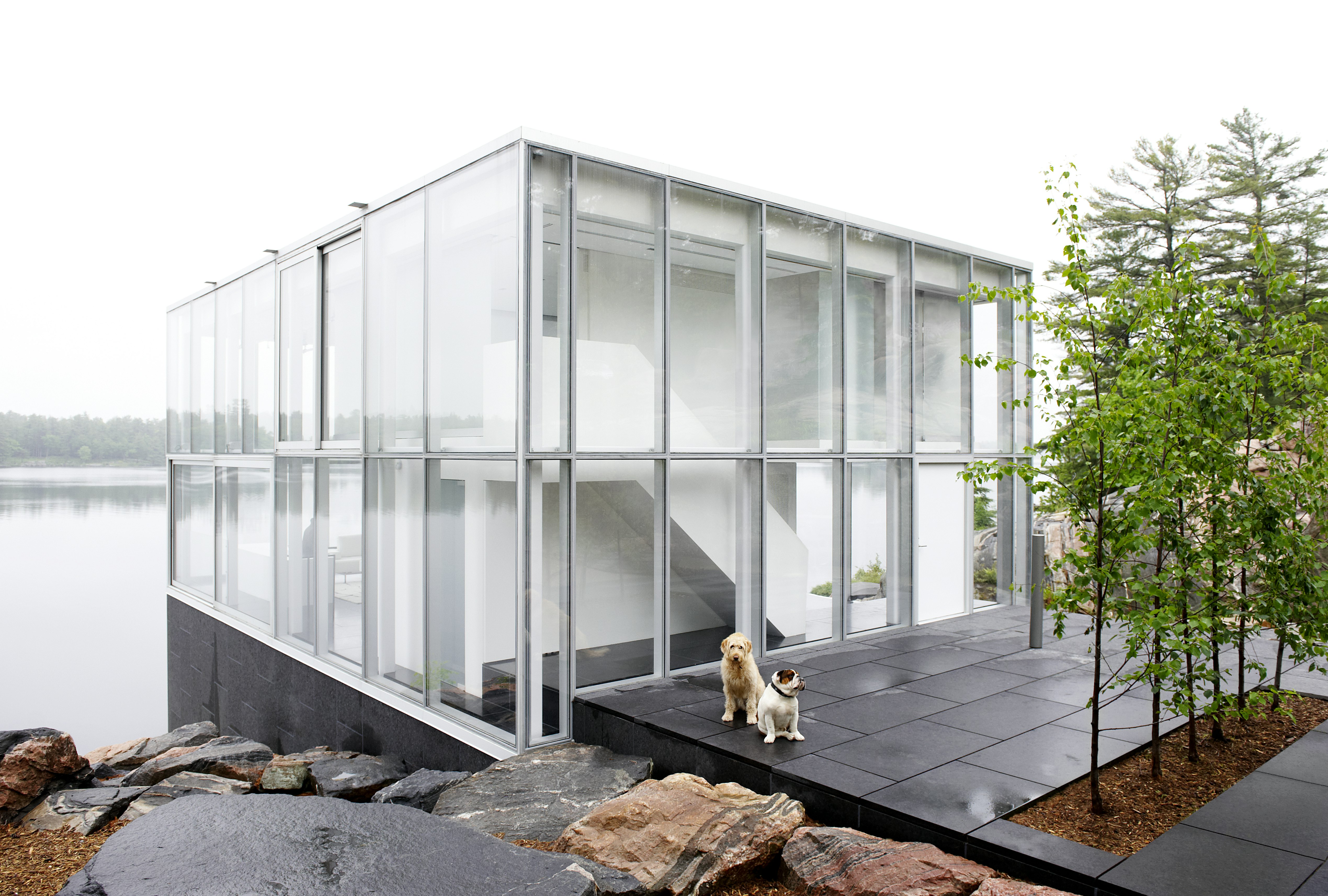 In Seattle, a Modern Home That Looks Toward the Sky and the Water