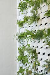 A detail shot of a fern shower wall in a New York City apartment
