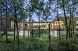 An Incredible Forest Home Leaps Over a Ravine