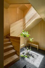 Polished concrete tiles and a wooden bench furnish the entry space.  Light from above falls down onto the greenery, drawing the outdoors in.