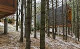 Outdoor, Woodland, Trees, and Slope  Photo 1 of 8 in Camp in Style at This Trio of Cedar-Clad Cabins in Minnesota