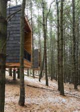 Outdoor, Woodland, Slope, and Trees  Photo 3 of 8 in Camp in Style at This Trio of Cedar-Clad Cabins in Minnesota