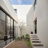 The smallest of the three courtyards is accessible via stairs off the kitchen. Large glazing provides visibility from the main living space.



