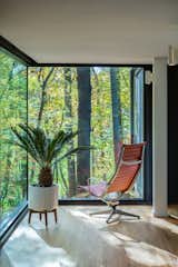 Treehaus living space with forest views