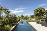 Outdoor, Concrete Pools, Tubs, Shower, Swimming Pools, Tubs, Shower, and Back Yard The linear swimming pool hovers above the hillside, disappearing into the tropical foliage.  Photo 7 of 12 in A Green Roof Helps Camouflage This Striking Home in Brazil