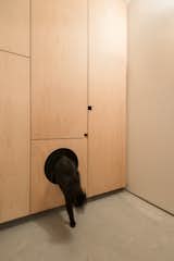 Custom millwork maximizes storage throughout the home. There is even a special location for the cat. 