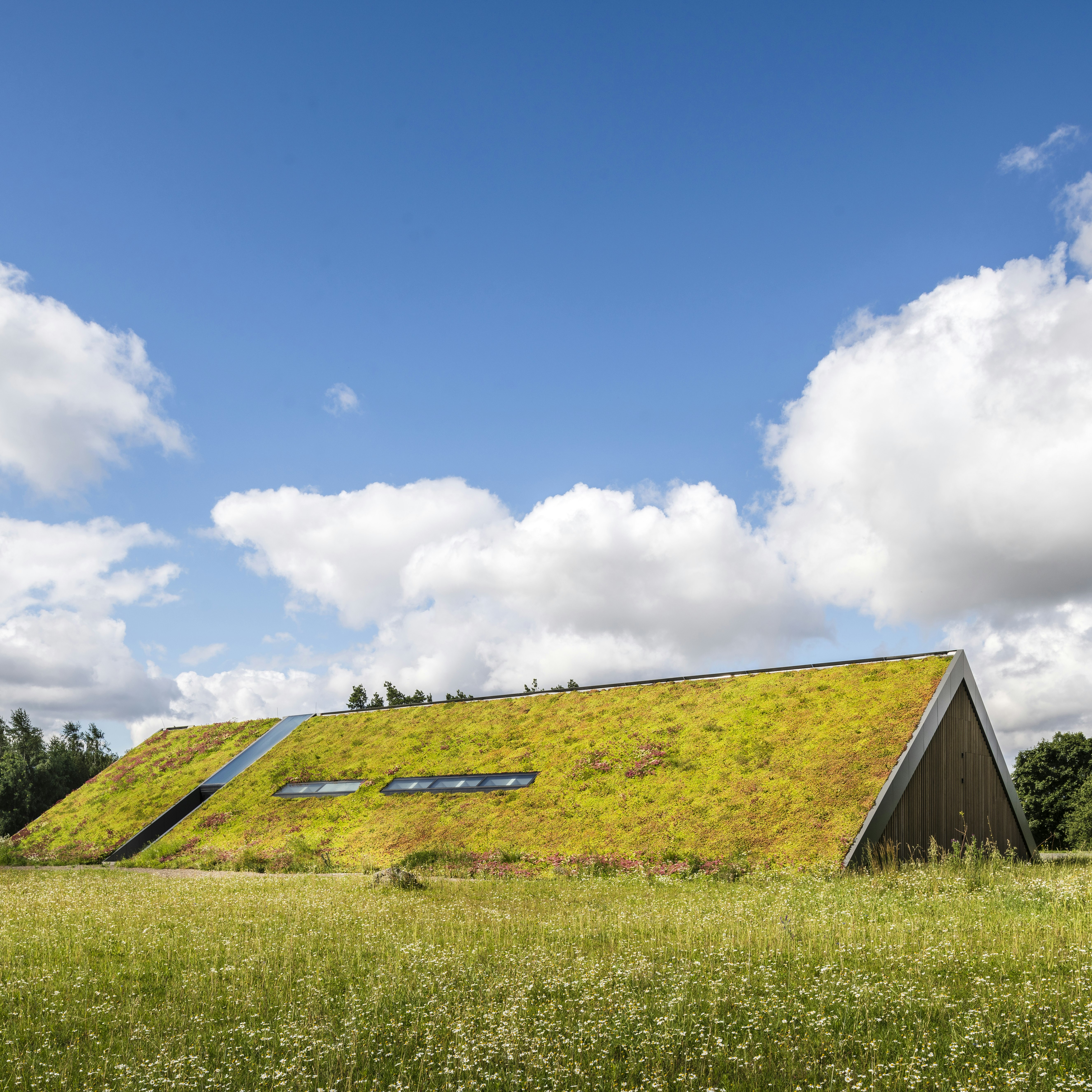 Homes Roor Green Roof Homes Home | ZinCo Green Roof Systems