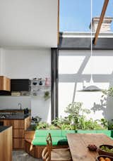 Newry House by Austin Maynard Architects indoor garden