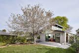 Backyard patio with large pear tree. This single story family home in Venice features dramatic ceilings with generous clerestory windows. The design offers dynamic natural lighting throughout while opening to a rear yard patio. 