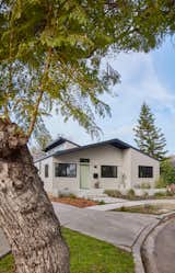 Front yard curb appeal. The house was pushed to the front setback in order to allow maximum rear yard size and privacy. Punctuated by a painted front door in pale green to match the olive tree leaves in the side yard. The clerestory windows of the living room beyond peek above the gable roofline.