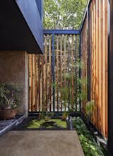 Water garden at top of steps outside of the entrance door to the residence (to the left). A bubbler in the pond dulls the street noise inside. The water garden - with papyrus, duck weed, water lillies, snails and small fish - sits atop of the concrete steps and is part of a private entrance created by western red cedar and black steel skeleton of of the brise-soleil wood screen.