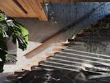 Stair at dawn: Floating black walnut stair treads cantilever from the seeded stucco wall. A living guardrail of hanging Monstera vines breaks the white oak ceiling plane from the steel guardrail above.  A stone slab bench by the architects with a C. Jere "Sandpipers" metal wall sculpture hanging above it sits under the stair.