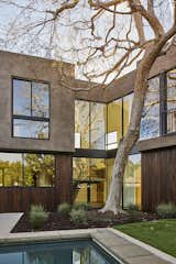 The interior staircase is located at the junction of the home's bend created by the 50-foot tall existing Elm tree. The layout of the program was planned around this tree. The window wall frames the full height of the tree
