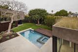 Planted roof of meadow grass at the pool house ADU with concrete patio, lawn, raised wood deck and large Elm and Pepper trees conserved. The home's layout with yard was designed around their positions.