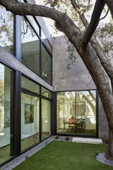 Rear yard with art gallery beyond under the oak