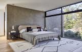 Primary Bedroom with 100-year old oak tree beyond. Smooth stucco wall slips by window system blurring threshold. Closets and Bathroom behind bed. 