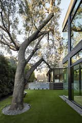 View from Study sliding doors back towards tree, pool and great Room beyond. Gallery on right with Primary Suite above. 
