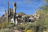 Adjacent to local landmark Pinnacle Peak, our Elegant Modern project is nestled into the beautiful Sonora Desert flora and fauna. 