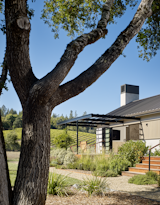 Designing structures to connect homes to landscapes. 