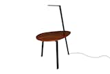 Leaf Table Lamp - RAL Black / Palissandro