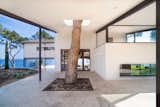Outdoor, Garden, Stone Patio, Porch, Deck, and Trees  Photo 3 of 5 in ANDRESS HOUSE by Ros+Falguera Arquitectura by Pablo Ros