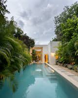 Pool View  Photo 13 of 15 in E&A 64 House by Taller Estilo Arquitectura