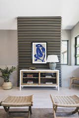TV accent wall in living room