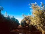 www.villastaos.com
villastaos@mail.com