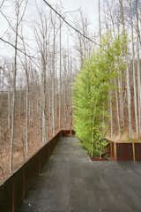 Outdoor, Rooftop, Woodland, Shrubs, Raised Planters, Large Patio, Porch, Deck, Metal Patio, Porch, Deck, Stone Patio, Porch, Deck, Metal Fences, Wall, and Walkways 'Tree House' - Bamboo Terrace  Photos from Mtn. House Research
