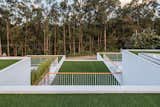 Outdoor, Front Yard, Rooftop, Gardens, Trees, Metal Fences, Wall, and Woodland  Photo 16 of 16 in FF Houses by TEC Taller EC