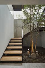 Staircase, Wood Tread, and Glass Railing  Photo 8 of 15 in INTERLACE HOUSE by TEC Taller EC