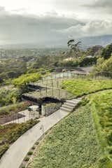 Outdoor, Back Yard, Rooftop, Garden, Side Yard, Hardscapes, Shrubs, Grass, Walkways, Flowers, Horizontal, and Metal Green roof  Outdoor Walkways Horizontal Metal Hardscapes Garden Photos from Hope Ranch Residence