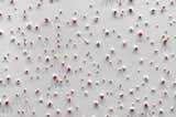 Zits No. 1559, Detail, 2016, Acrylic through paper on wood, 17.5 inches diameter