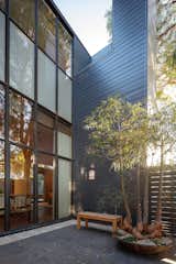 Outdoor, Large Patio, Porch, Deck, and Trees Zen Courtyard  Photo 4 of 20 in The OneTaste Residence by Aaron Kirman