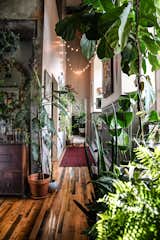 Propagating plants is the most inexpensive way to grow your plant family—something Hilton Carter has turned into an art form in his Baltimore home.