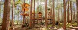 Treehouses don’t only make fun play spaces for kids—this collection of vacation rental treehouses, located at Treehouse Point in a beautiful forest along the Raging River in the Pacific Northwest, is beautifully crafted by builder Pete Nelson to exacting standards. Nelson has been designing and building treehouses in the Seattle area for decades, and his company Nelson Treehouses has grown into something of a treehouse empire. Treehouse Point is home to seven unique cabins perched high amongst the treetops and connected by timber walkways.&nbsp;