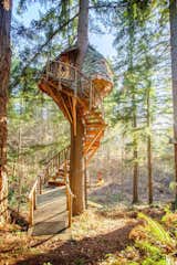A narrow circular staircase hugs the trunk supporting this cozy Washington-based tree house dubbed the Beehive.
