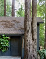 The cabin’s redwood siding is painted a custom Sherwin-Williams black with green and blue undertones. The exterior face-lift also introduced additional plantings and rehabbed and extended the deck.