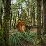 Clad in salvaged wood and adorned with moss, the tiny hexagonal home has a footprint of 93 square feet.