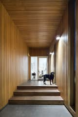 View of entry and front door at Hill Country House by Miró Rivera Architects