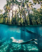 Swimming in Bitter Springs, crystal clear spring-fed thermal pools in Mataranka, NT, Australia.  Photo 41 of 43 in 10 Travel Photographers to Follow on Instagram Right Now