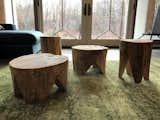 Stools made of fallen ash wood show the path of the emerald ash borers that claimed the trees.
