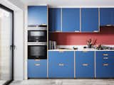 Almington Street House IKEA kitchen cabinets