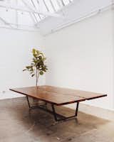 A claro walnut split slab table by Gong.
