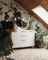 Bedroom, Light Hardwood Floor, and Dresser Friederike Weid's Scandinavian-style abode.  Photos from 9 Plant-Filled Abodes You Should Follow on Instagram Right Now