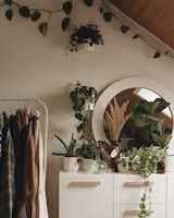Bedroom and Dresser  Search “collect-dresser-by-wis-design.html” from 9 Plant-Filled Abodes You Should Follow on Instagram Right Now