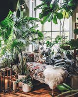 Living, Sofa, and Dark Hardwood Luxe glam exuds  Living Dark Hardwood Photos from 9 Plant-Filled Abodes You Should Follow on Instagram Right Now