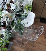 Simple furniture of glass and acrylic allows plants to shine.&nbsp;