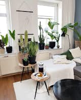 Living Room, Sofa, Medium Hardwood Floor, End Tables, and Coffee Tables Michelle's organic space is made up of stone hues and plants.  Photos from 9 Plant-Filled Abodes You Should Follow on Instagram Right Now